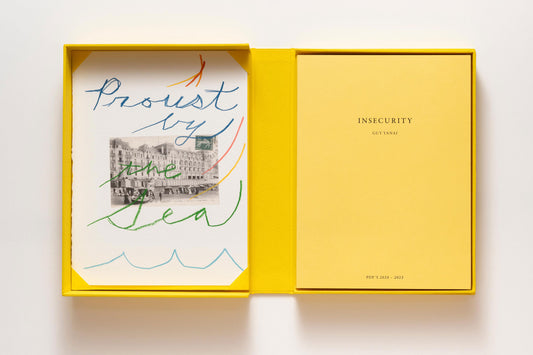 Insecurity Box Special Edition